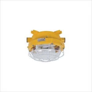 Explosion Proof Annular Light Fittings